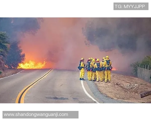 文图拉县与南加州的精彩对决揭示地区文化与经济发展的新机遇